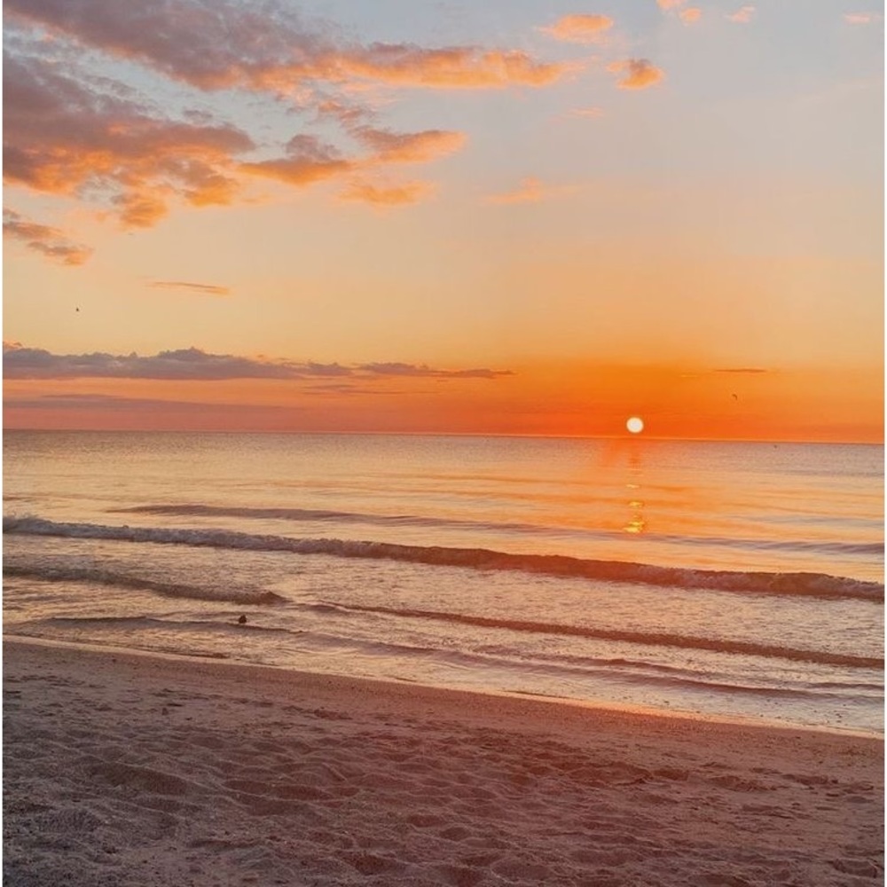 Meet your Posher, Mel